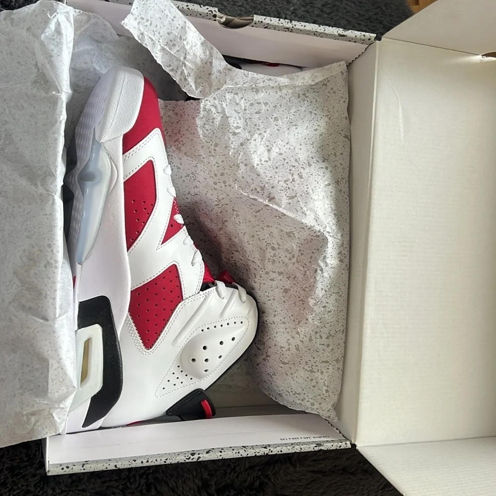 Jordan 6 Retro Carmine 2021